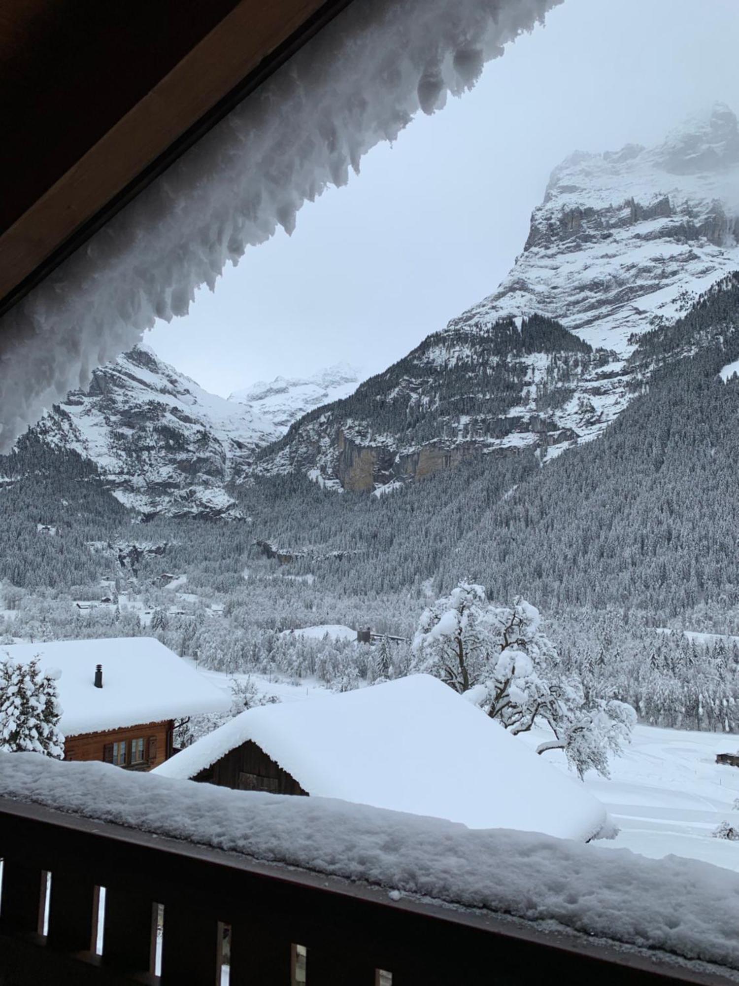 Silberhorn Apartment Гринделвалд Екстериор снимка