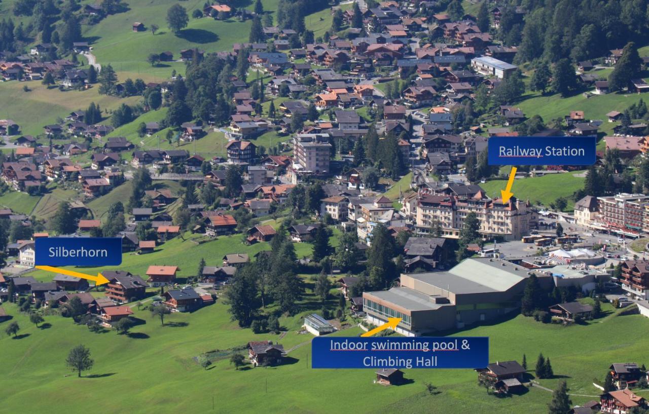 Silberhorn Apartment Гринделвалд Екстериор снимка